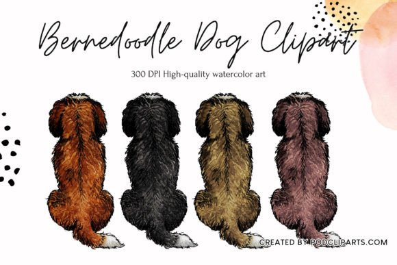 Bernedoodle Dog Clipart Watercolor Illustrations