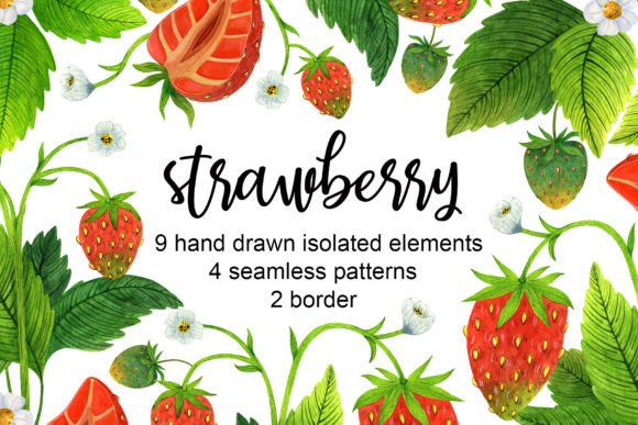 Berry Strawberry Watercolor Clipart Illustrations Review
