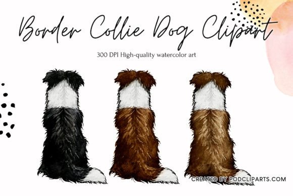 Border Collie Dog Clipart Watercolor Illustrations