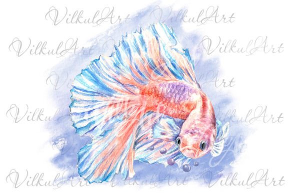 Cute Animal Png Watercolor Clipart Fish for Local Branding and Packaging Design