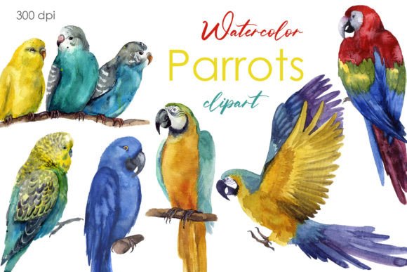 Cute Watercolor Parrot Illustrations for Crafters
