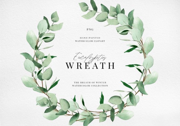 Eucalyptus Frame Wreath Watercolor Illustration PNG