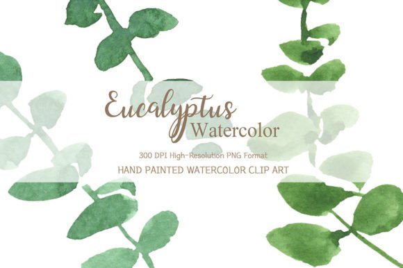 Eucalyptus Watercolor Clipart: Elegant Illustrations