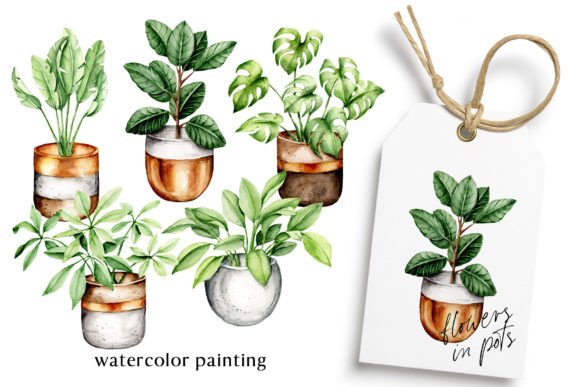 Flowers in Pots Watercolor Painting for Blog Graphics and Editorial Design