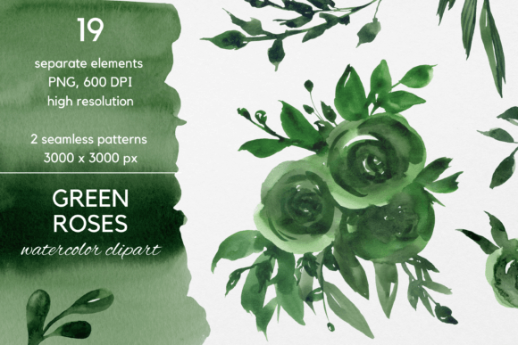 Green Roses Watercolor Clipart – Blossom: A Designer’s Real-World Review