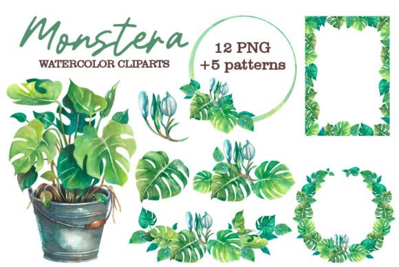 Monstera Watercolor Clipart: A Practical Review for Etsy Sellers & Digital Product Creators