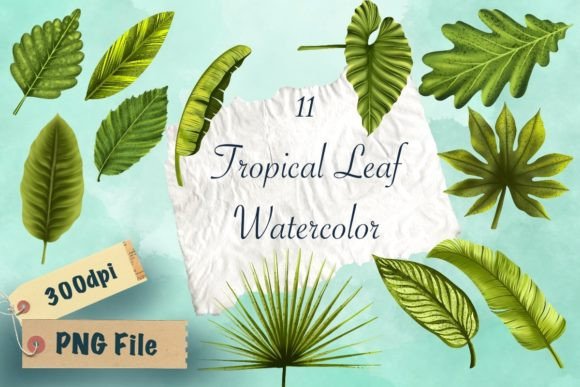 Tropical Leaf Watercolor PNG for Illustrations