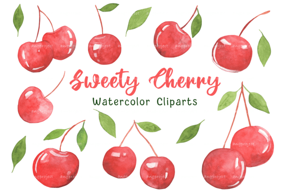 Watercolor Cherry Fruit Clipart PNG for Illustrations