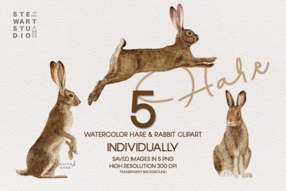 Watercolor Hare Rabbit Clipart for Editorial Illustrations