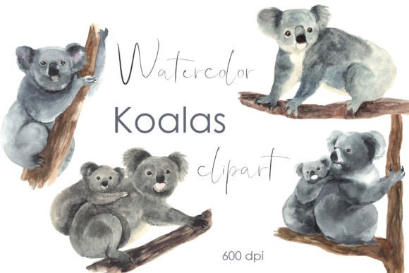 Watercolor Koala Clipart Baby Shower Png Illustrations
