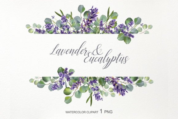 Watercolor Lavender Eucalyptus Border Illustrations Review