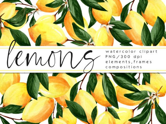 Watercolor Lemons Clipart Set: Illustrations Review