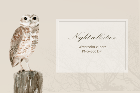 Watercolor Owl Clipart: Freebies for Editorial Design