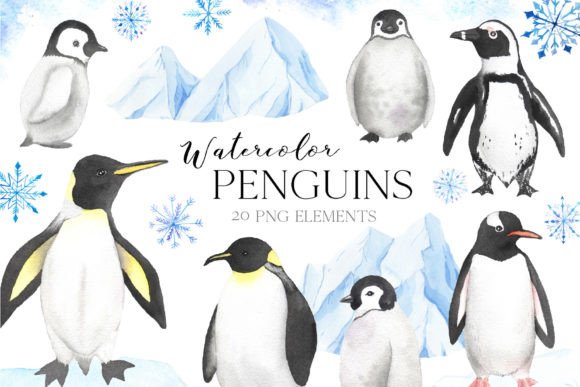 Watercolor Penguin Animals Clipart: A Brand Designer’s Take for Local Business Branding