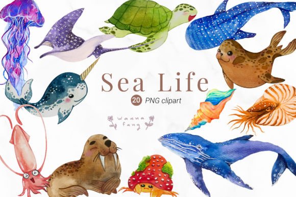 Watercolor Sea Life Clipart, PNG: A Fresh Illustration Bundle for Coastal Brands and Lifestyle Marketing