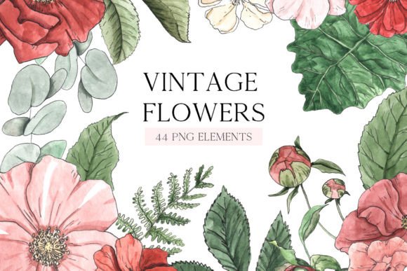 Watercolor Vintage Fall Flowers Illustrations for Editorial